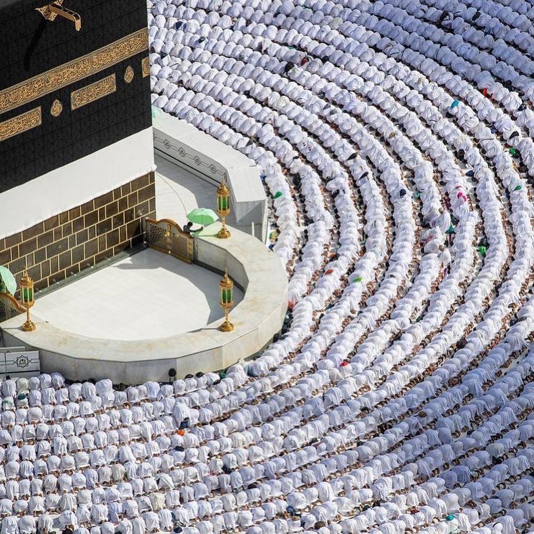 صورة من المعرض